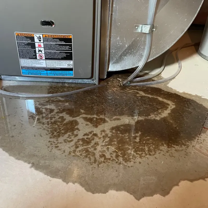 Appliance Leak Cleanup in Hamtramck, MI