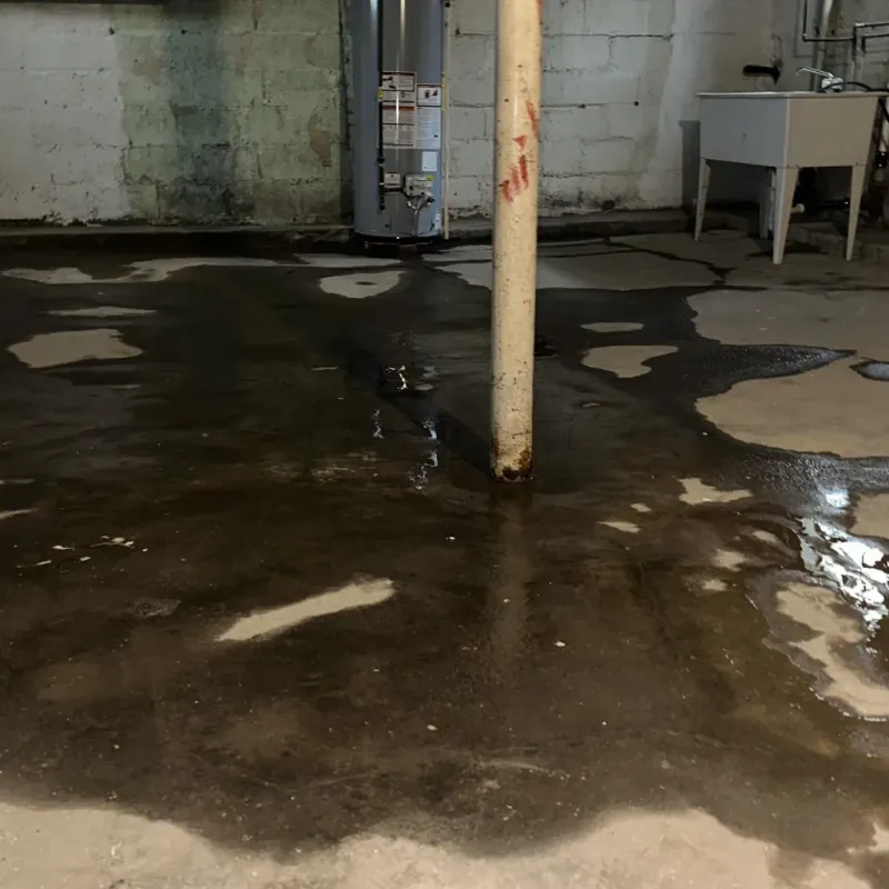 Emergency Water Extraction And Removal in Hamtramck, MI